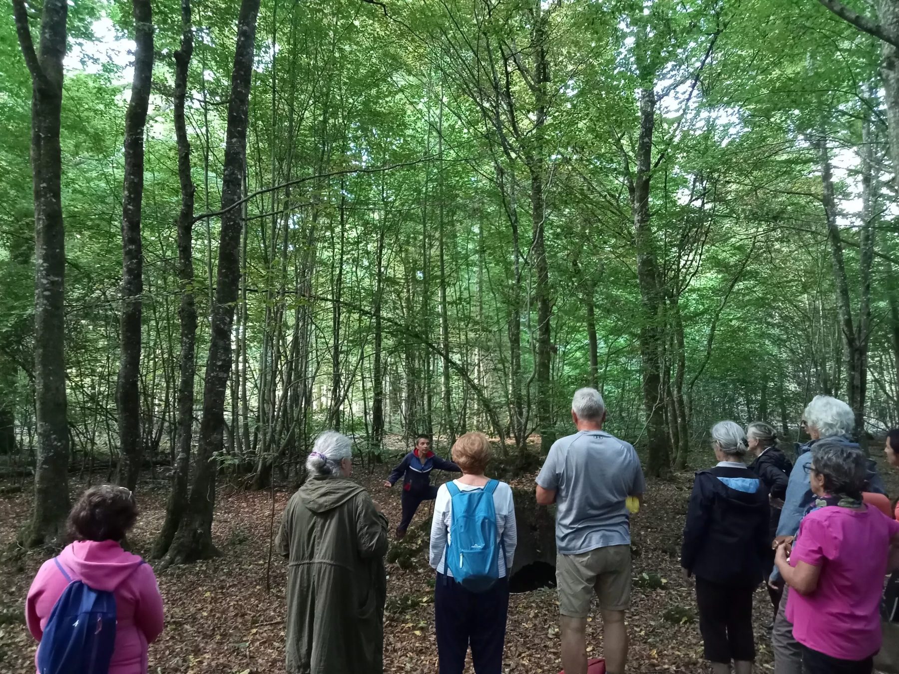 Un petit groupe marche en silence sous les hêtres de la forêt de la Traconne pendant une sophro-balade